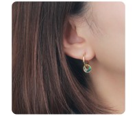 Silver Hoop Earring HO-2594